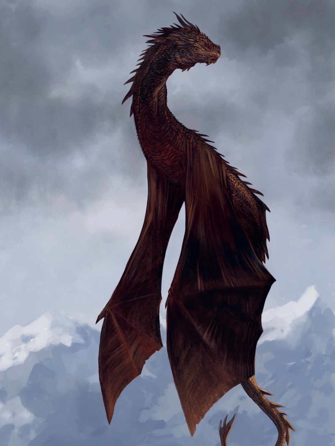 Drachen